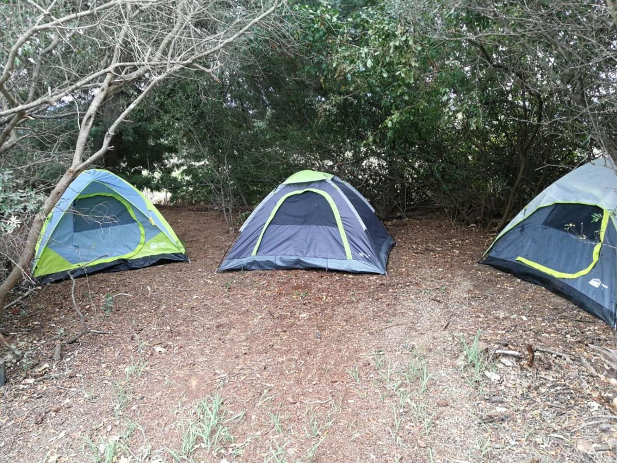 Klipfontein Rustic Farm & Camping Tulbagh Luaran gambar
