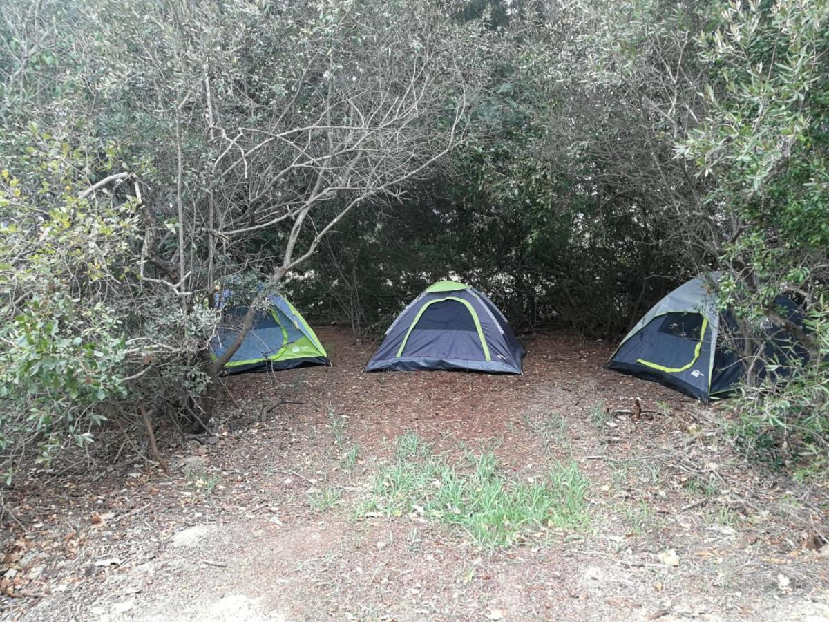 Klipfontein Rustic Farm & Camping Tulbagh Luaran gambar