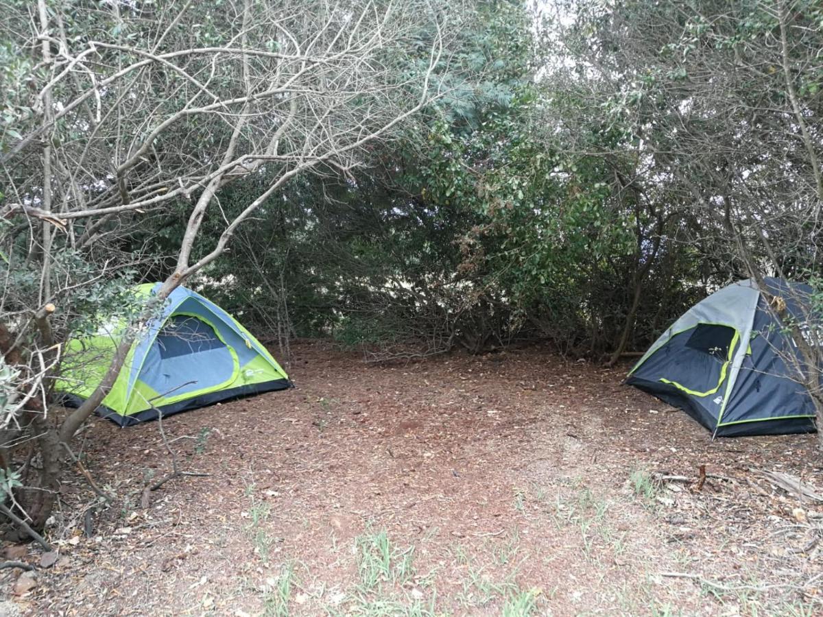 Klipfontein Rustic Farm & Camping Tulbagh Luaran gambar