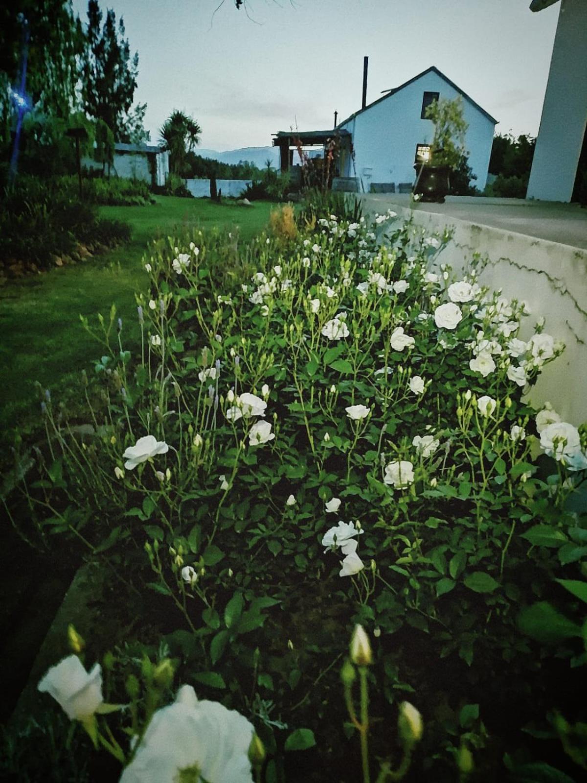 Klipfontein Rustic Farm & Camping Tulbagh Luaran gambar
